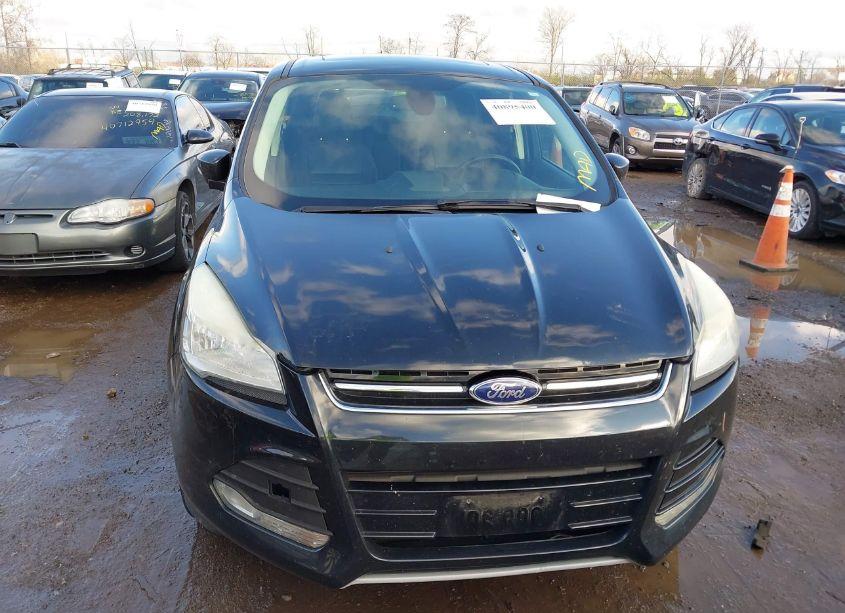 Photo 6 of 2013 Ford Escape SEL (VIN 1FMCU9H96DUD57573)