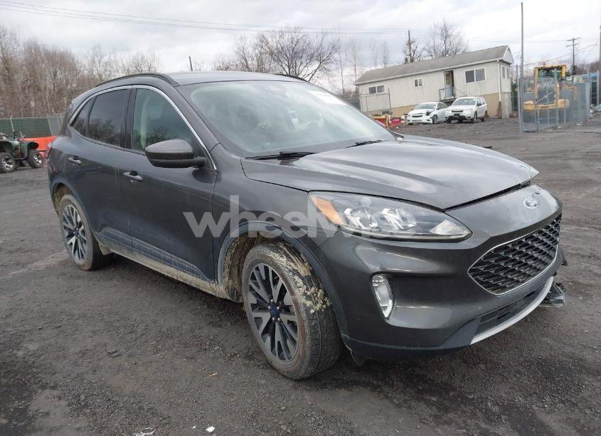 2020 Ford Escape SEL (VIN 1FMCU9H96LUA21145) main photo