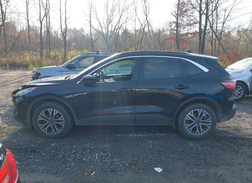 Photo 13 of 2020 Ford Escape SEL (VIN 1FMCU9H96LUA60933)