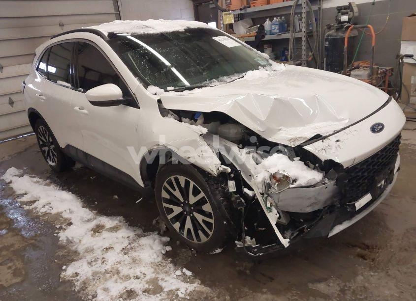 2020 Ford Escape SEL (VIN 1FMCU9H96LUB81641) main photo