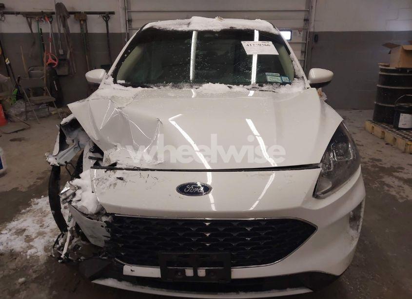 Photo 13 of 2020 Ford Escape SEL (VIN 1FMCU9H96LUB81641)