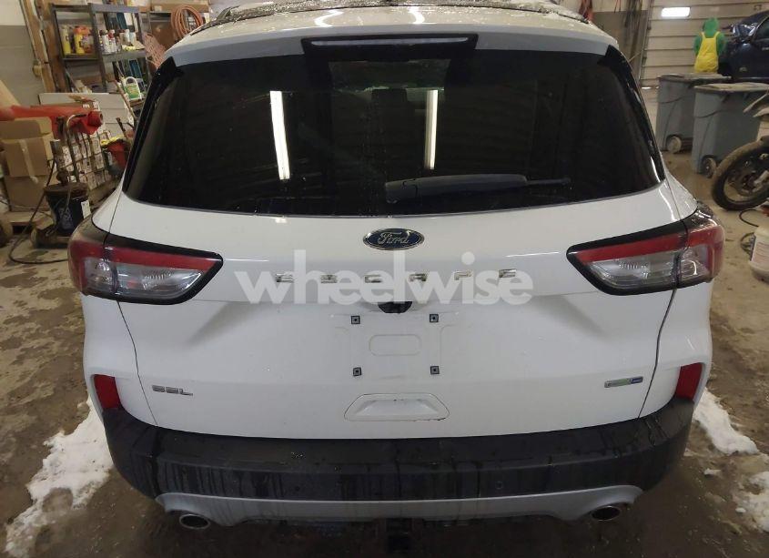 Photo 17 of 2020 Ford Escape SEL (VIN 1FMCU9H96LUB81641)