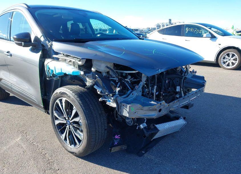 Photo 6 of 2022 Ford Escape SEL (VIN 1FMCU9H96NUB38694)