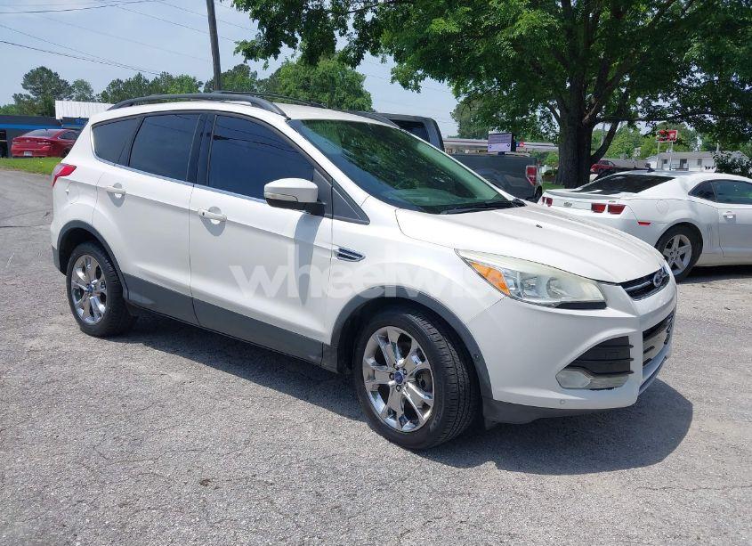 2013 Ford Escape SEL (VIN 1FMCU9H97DUA01844) main photo