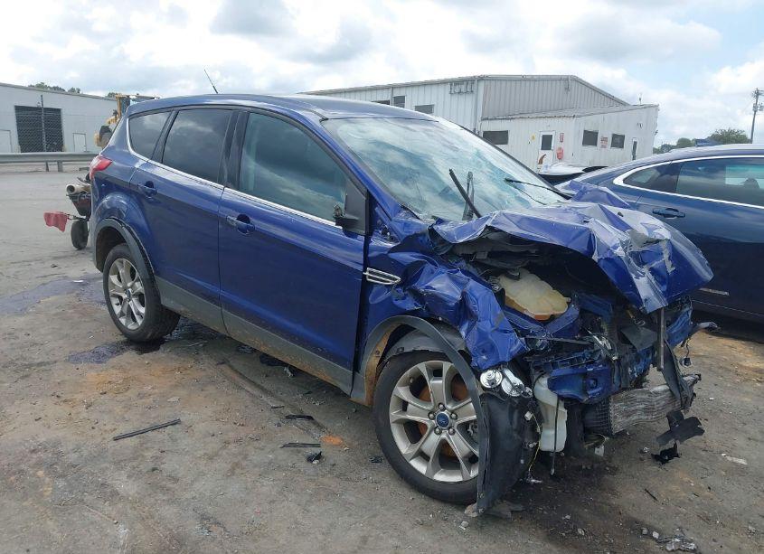 2013 Ford Escape SEL (VIN 1FMCU9H97DUA09684) main photo