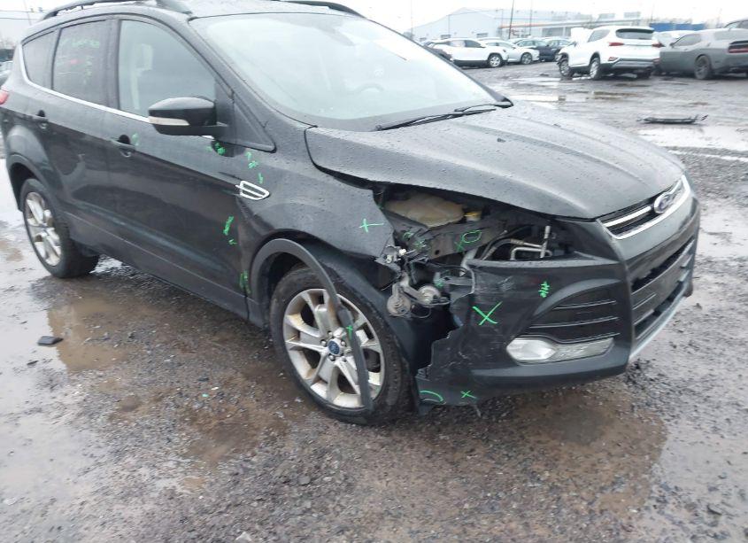 2013 Ford Escape SEL (VIN 1FMCU9H97DUA91903) main photo