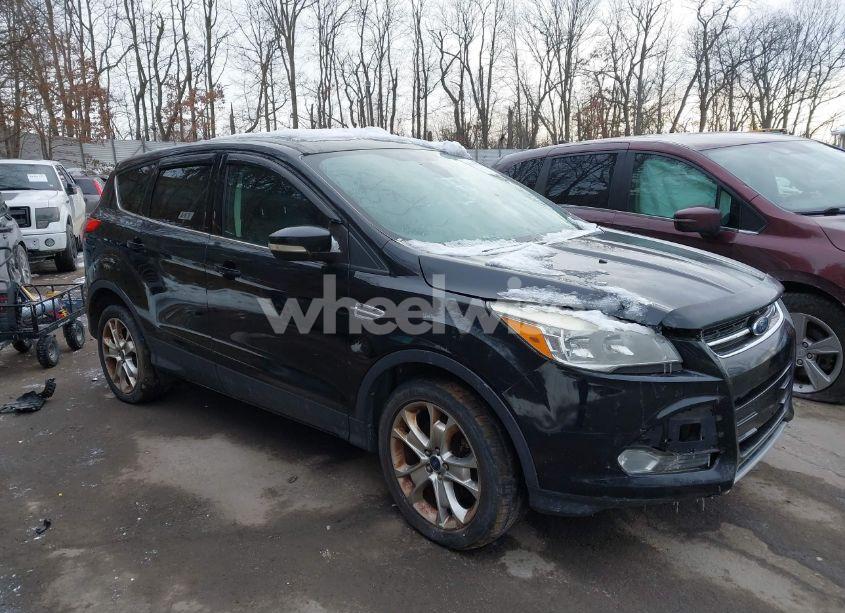 2013 Ford Escape SEL (VIN 1FMCU9H97DUC47177) main photo