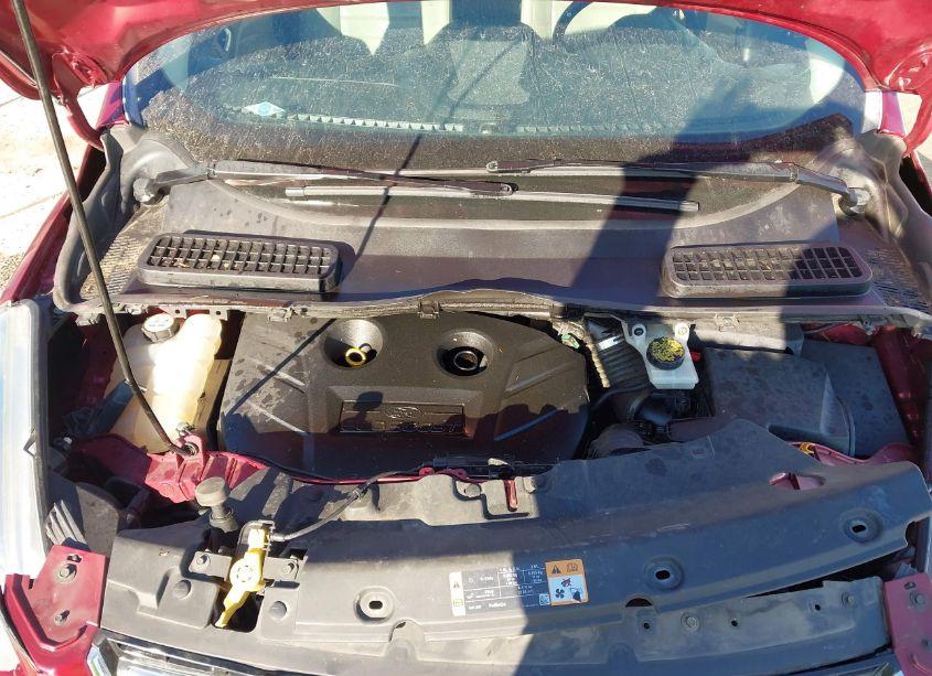 Photo 10 of 2013 Ford Escape SEL (VIN 1FMCU9H97DUD34352)