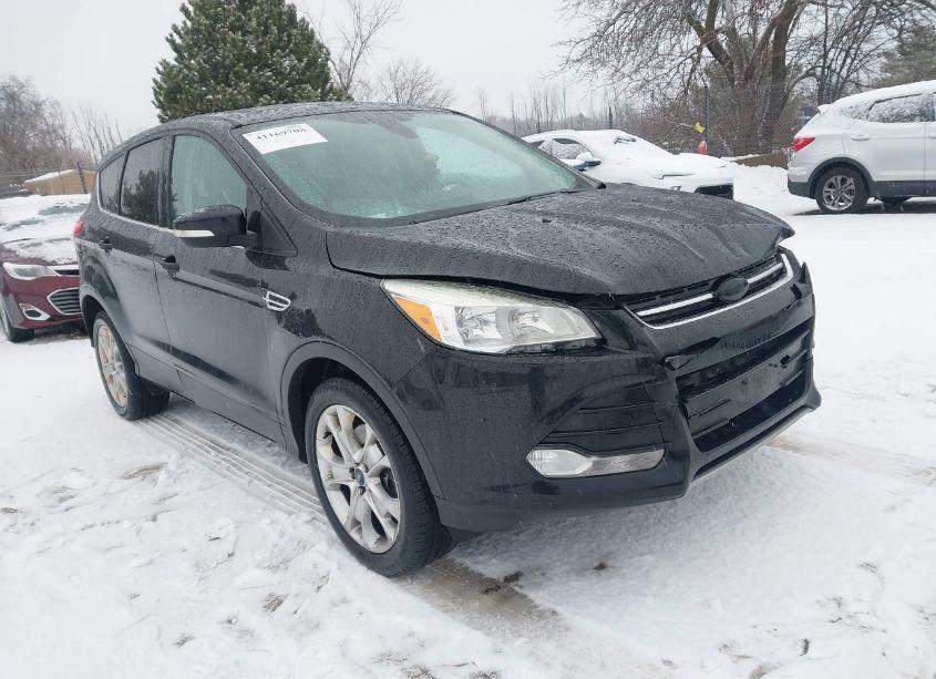 2013 Ford Escape SEL (VIN 1FMCU9H97DUD80442) main photo