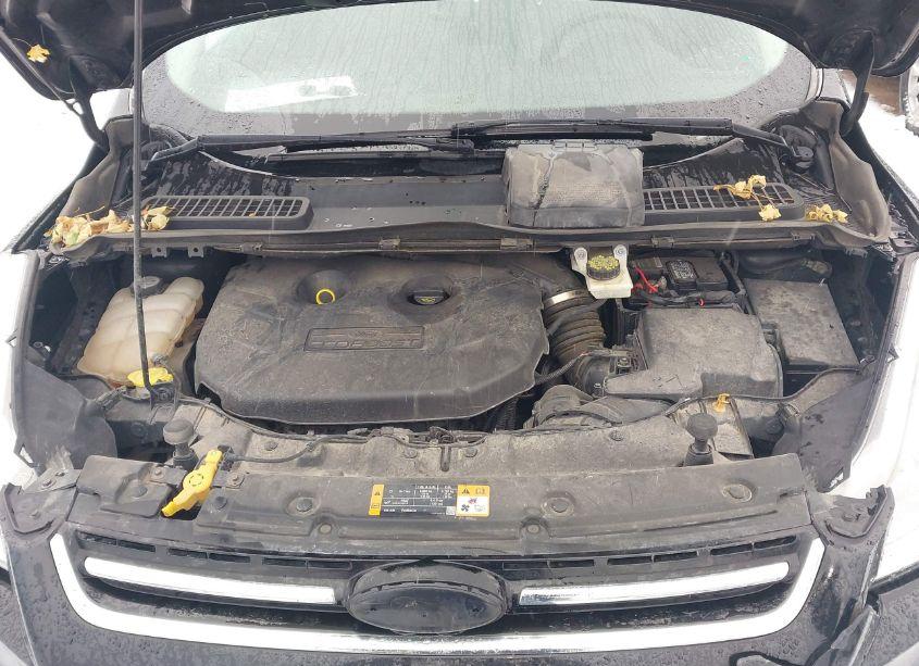 Photo 10 of 2013 Ford Escape SEL (VIN 1FMCU9H97DUD80442)