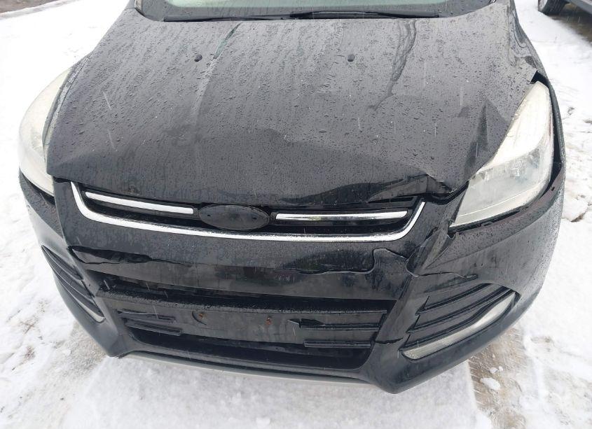 Photo 12 of 2013 Ford Escape SEL (VIN 1FMCU9H97DUD80442)