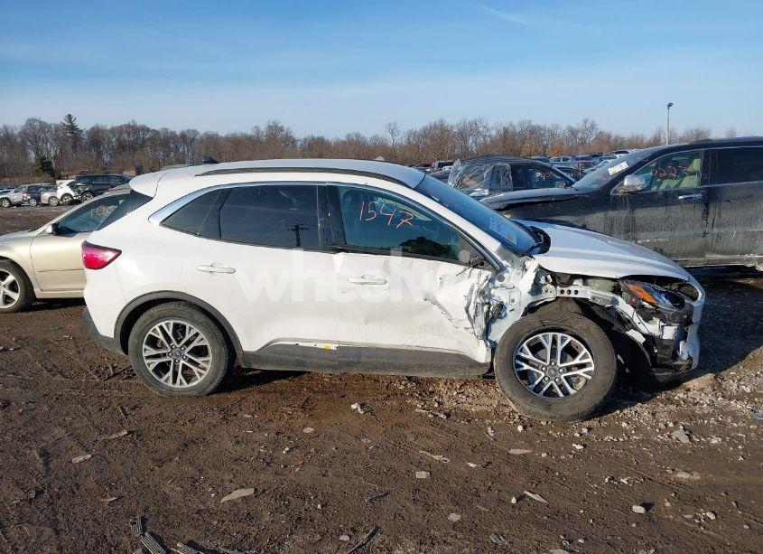 Photo 13 of 2020 Ford Escape SEL (VIN 1FMCU9H97LUA44546)