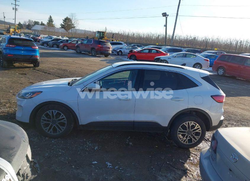 Photo 14 of 2020 Ford Escape SEL (VIN 1FMCU9H97LUA44546)