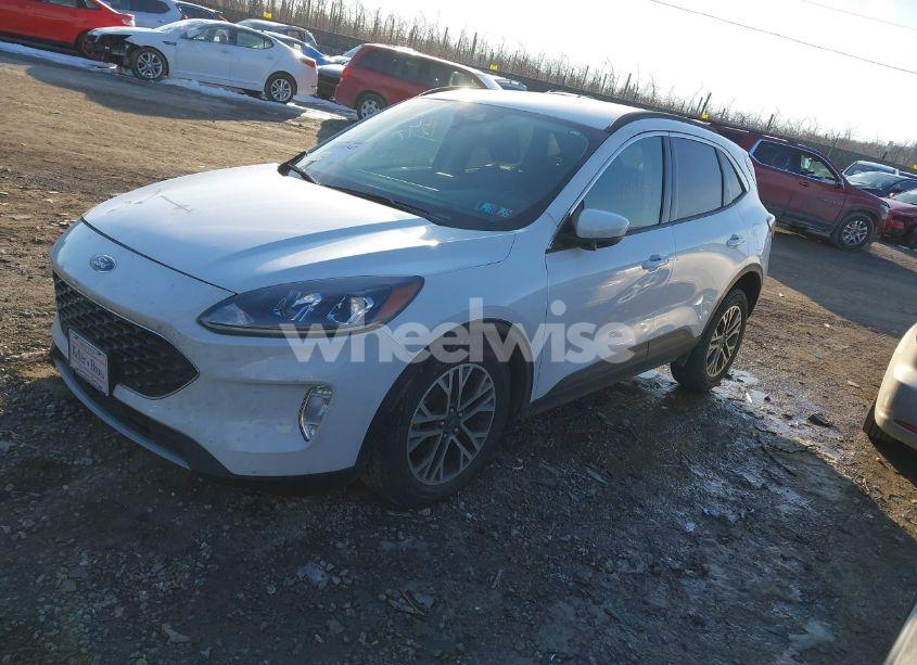 Photo 2 of 2020 Ford Escape SEL (VIN 1FMCU9H97LUA44546)