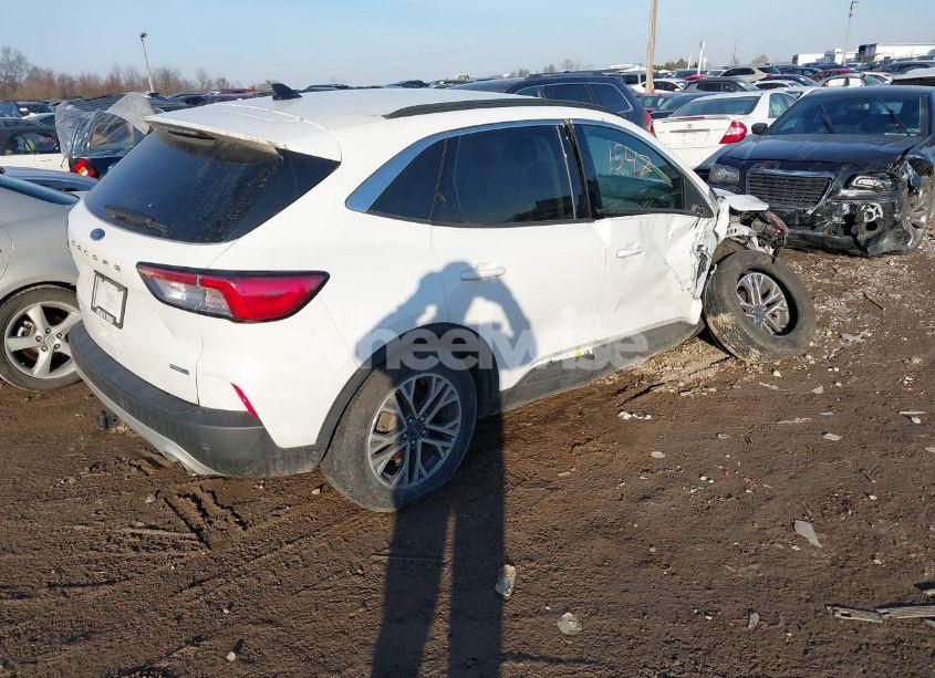 Photo 4 of 2020 Ford Escape SEL (VIN 1FMCU9H97LUA44546)