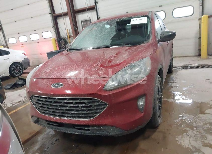 Photo 12 of 2022 Ford Escape SEL (VIN 1FMCU9H97NUA75802)
