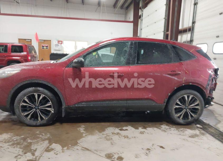 Photo 14 of 2022 Ford Escape SEL (VIN 1FMCU9H97NUA75802)