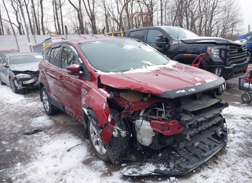 2013 Ford Escape SEL (VIN 1FMCU9H98DUD65898) main photo