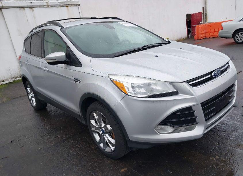 2013 Ford Escape SEL (VIN 1FMCU9H99DUA28981) main photo