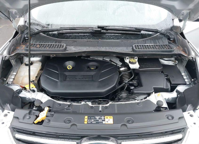 Photo 10 of 2013 Ford Escape SEL (VIN 1FMCU9H99DUA28981)