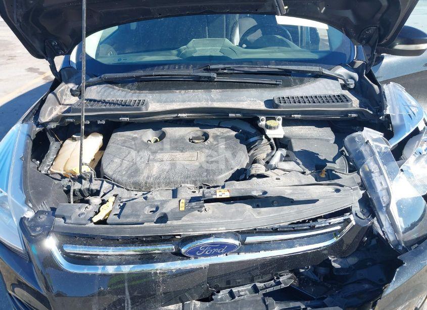 Photo 10 of 2013 Ford Escape SEL (VIN 1FMCU9H99DUA79817)