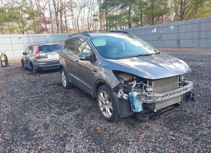 2013 Ford Escape SEL (VIN 1FMCU9H99DUB35884) main photo
