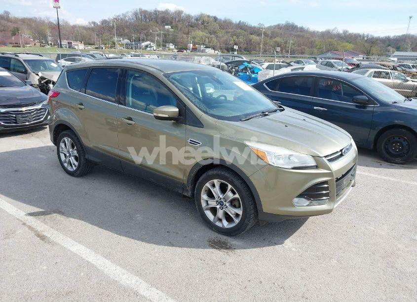 2013 Ford Escape SEL (VIN 1FMCU9H99DUC03956) main photo
