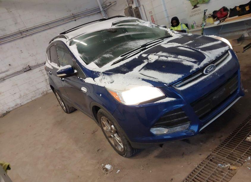 2013 Ford Escape SEL (VIN 1FMCU9H99DUC24385) main photo
