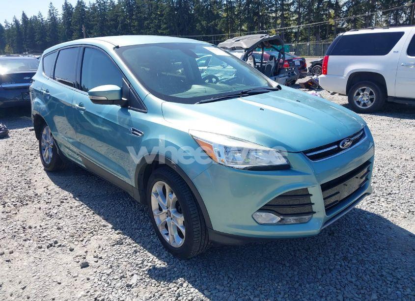 2013 Ford Escape SEL (VIN 1FMCU9H99DUC55653) main photo