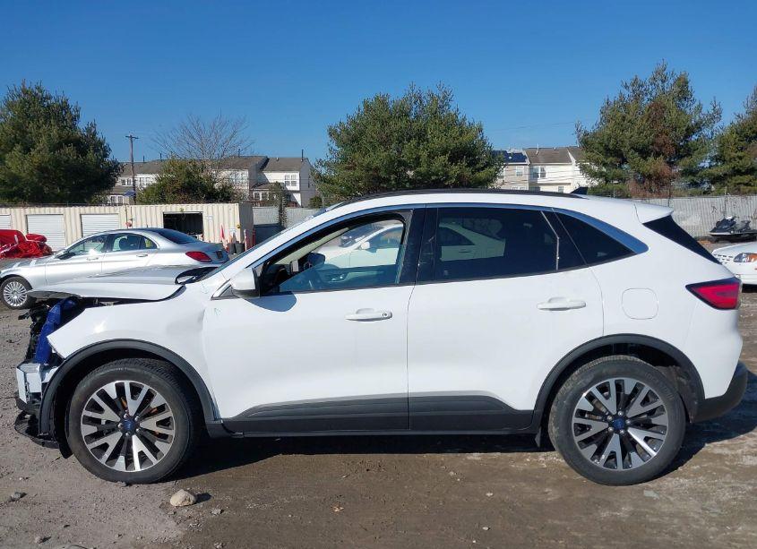 Photo 14 of 2020 Ford Escape SEL (VIN 1FMCU9H99LUA39347)