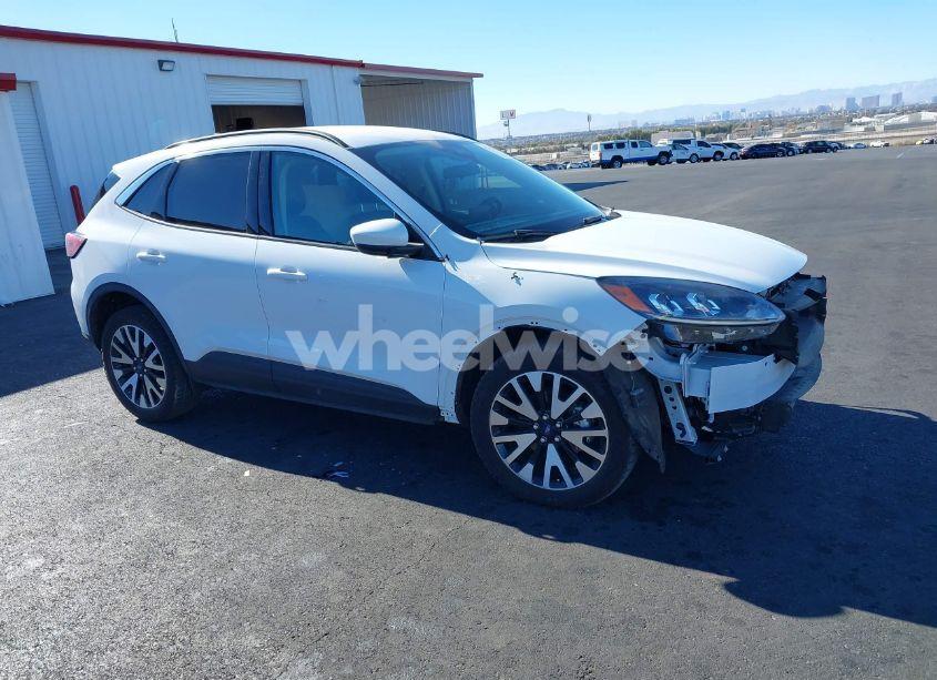 2020 Ford Escape SEL (VIN 1FMCU9H99LUC64626) main photo