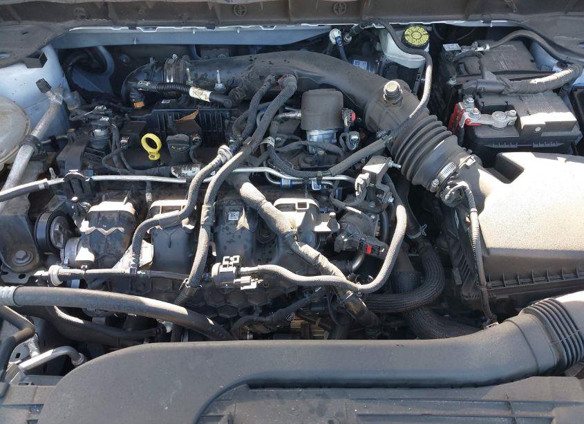 Photo 10 of 2022 Ford Escape SEL (VIN 1FMCU9H99NUA43871)