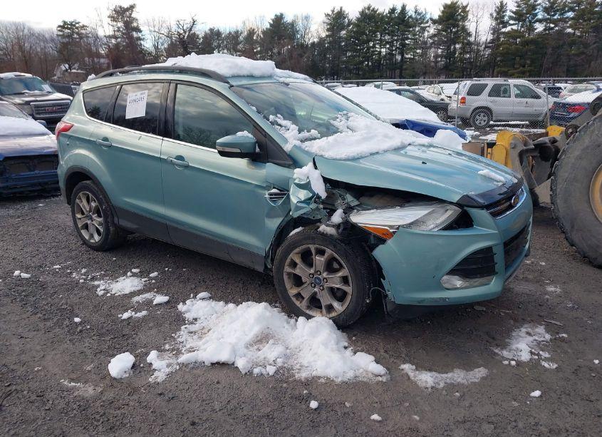 2013 Ford Escape SEL (VIN 1FMCU9H9XDUA90339) main photo