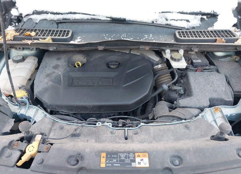 Photo 10 of 2013 Ford Escape SEL (VIN 1FMCU9H9XDUA90339)