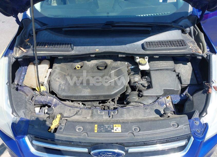 Photo 10 of 2013 Ford Escape SEL (VIN 1FMCU9H9XDUC19146)