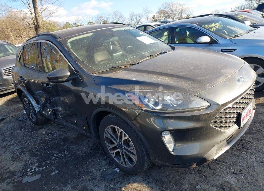 2020 Ford Escape SEL (VIN 1FMCU9H9XLUB42003) main photo