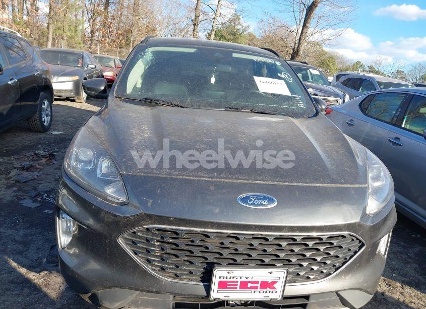 Photo 12 of 2020 Ford Escape SEL (VIN 1FMCU9H9XLUB42003)