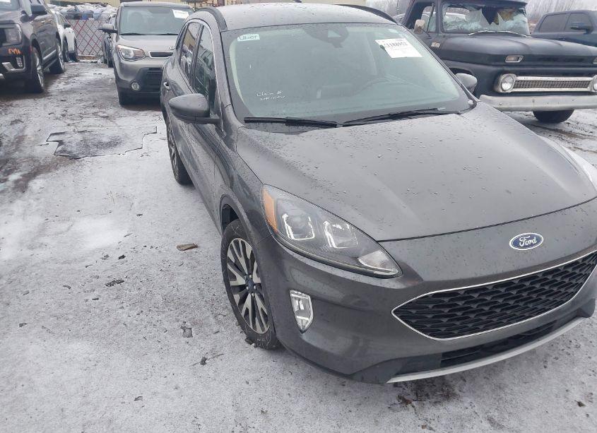 2020 Ford Escape SEL (VIN 1FMCU9H9XLUB64969) main photo