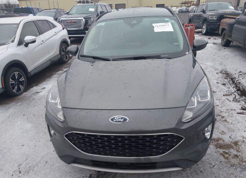 Photo 12 of 2020 Ford Escape SEL (VIN 1FMCU9H9XLUB64969)