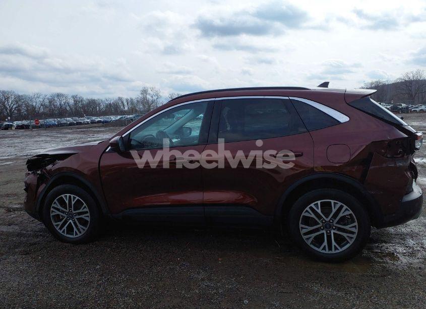 Photo 15 of 2021 Ford Escape SEL (VIN 1FMCU9H9XMUA17388)