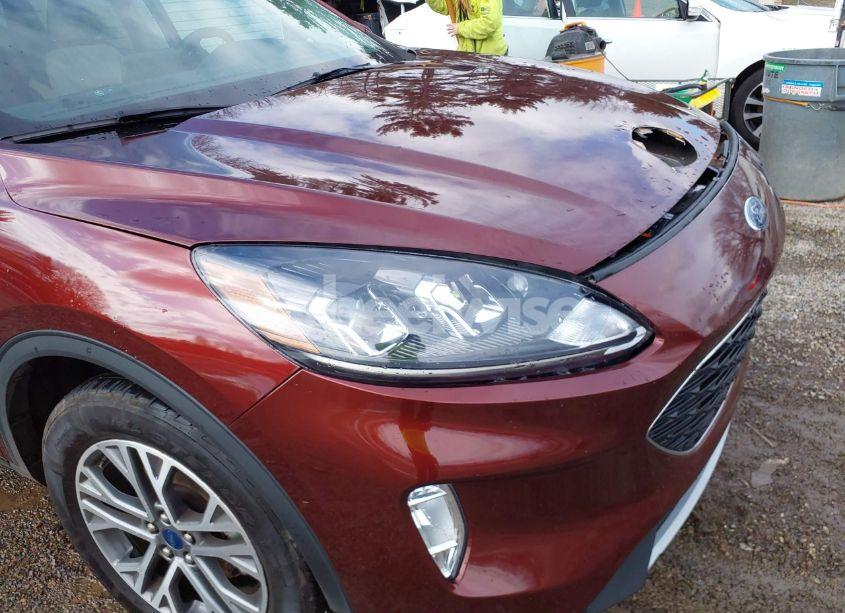 Photo 20 of 2021 Ford Escape SEL (VIN 1FMCU9H9XMUA17388)