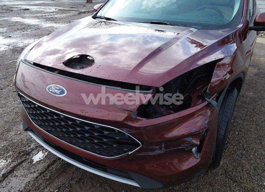Photo 6 of 2021 Ford Escape SEL (VIN 1FMCU9H9XMUA17388)