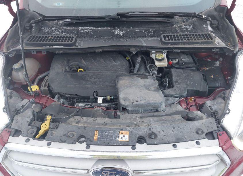 Photo 10 of 2018 Ford Escape SEL (VIN 1FMCU9HD0JUA33079)