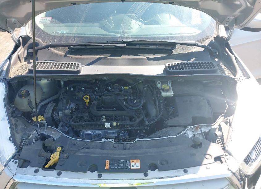 Photo 10 of 2019 Ford Escape SEL (VIN 1FMCU9HD0KUA57061)