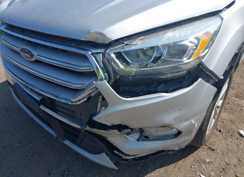 Photo 6 of 2019 Ford Escape SEL (VIN 1FMCU9HD0KUA57061)