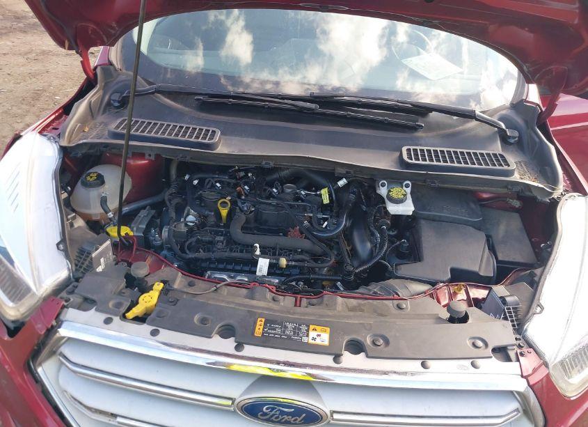 Photo 10 of 2019 Ford Escape SEL (VIN 1FMCU9HD0KUA67430)