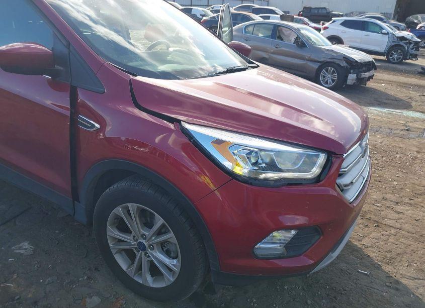 Photo 6 of 2019 Ford Escape SEL (VIN 1FMCU9HD0KUA67430)