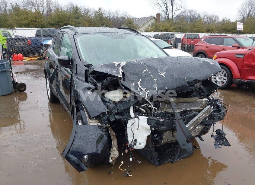 2019 Ford Escape SEL (VIN 1FMCU9HD0KUC33350) main photo