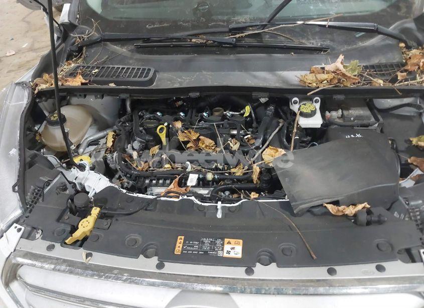 Photo 10 of 2019 Ford Escape SEL (VIN 1FMCU9HD1KUA43573)