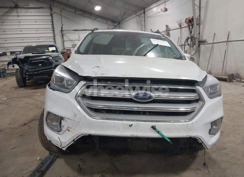 Photo 13 of 2019 Ford Escape SEL (VIN 1FMCU9HD1KUA43573)